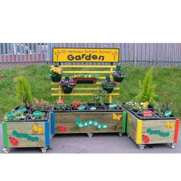 24 Box School Garden Bundle